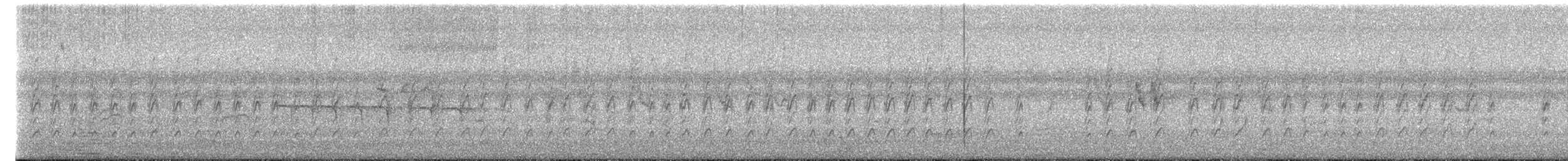 Striped Prinia - ML622386550