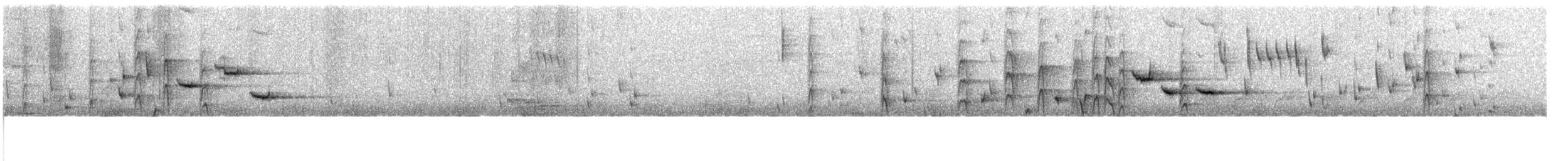 Gray Fantail - ML622388389