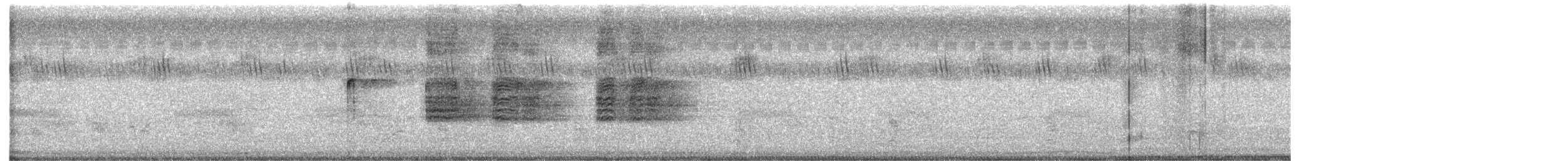 Black Francolin - ML622390203