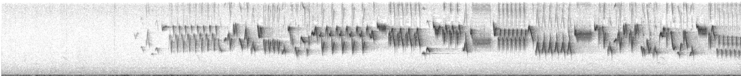 Pacific Wren (alascensis Group) - ML622393023