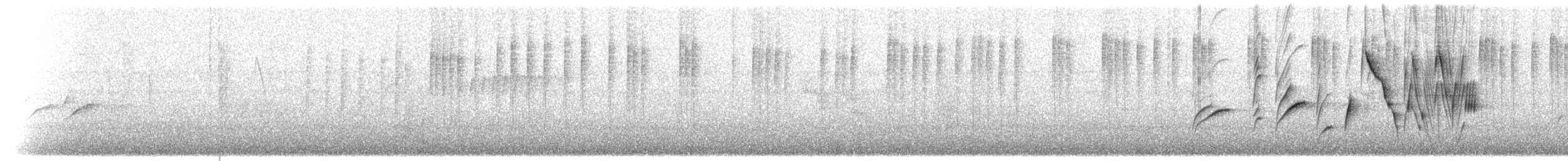 スミレガシラハチドリ - ML622396095