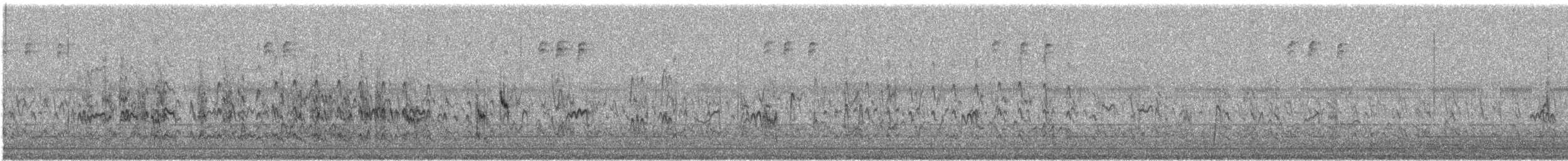 Cüce Kumkuşu - ML622398295