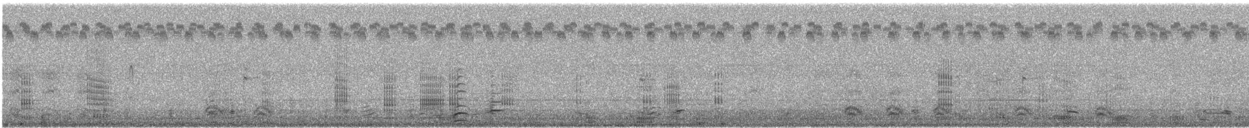 Neotropikal Karabatak - ML622398308