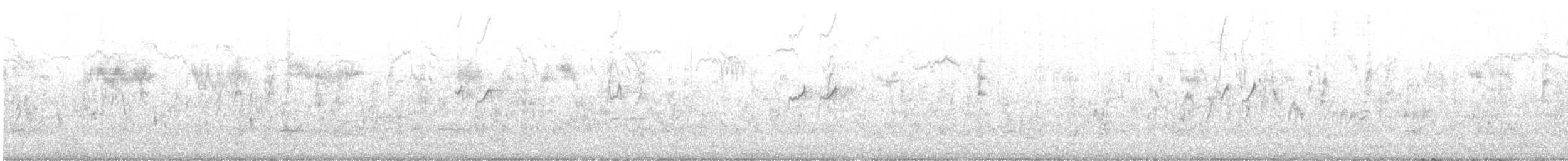 Solitary Sandpiper - ML622401170