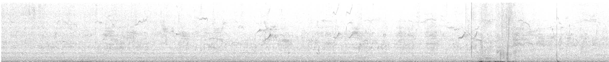 Solitary Sandpiper - ML622401172