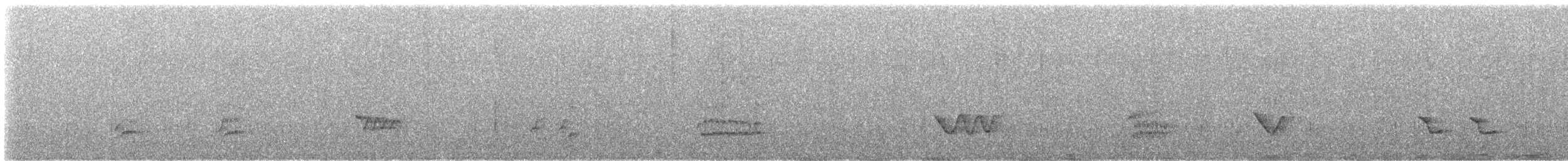 Chestnut-bellied Thrush - ML622406439