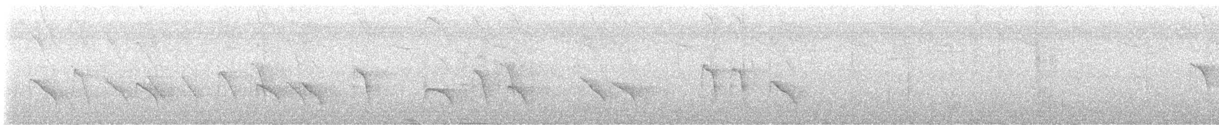 White-capped Tanager - ML622406467