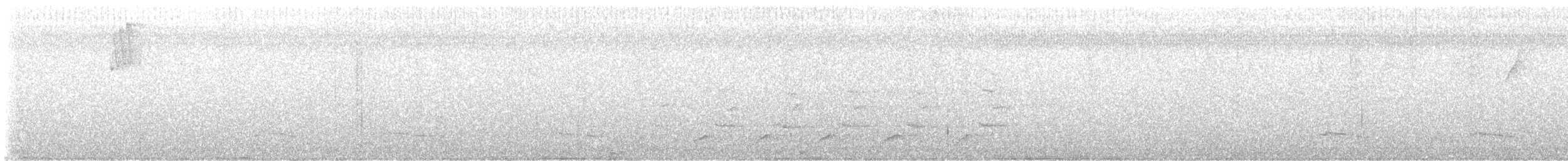 Scarlet-rumped Cacique - ML622406711