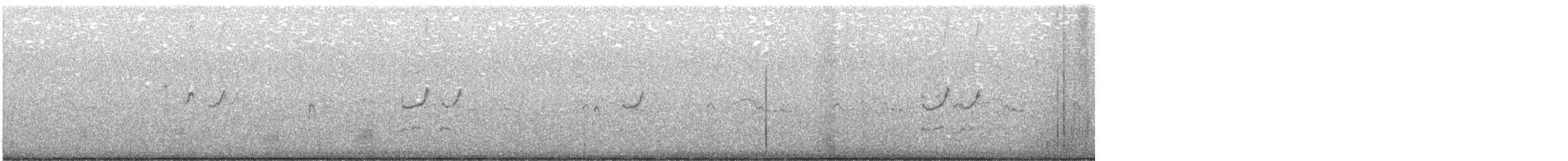 Solitary Sandpiper - ML622411176