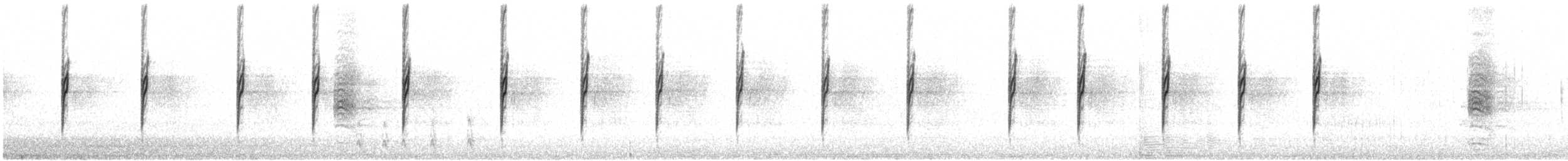 strnadec bělopásý (ssp. oriantha) - ML622417145