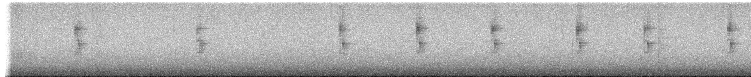 סבכון לבן-זנב - ML622417155