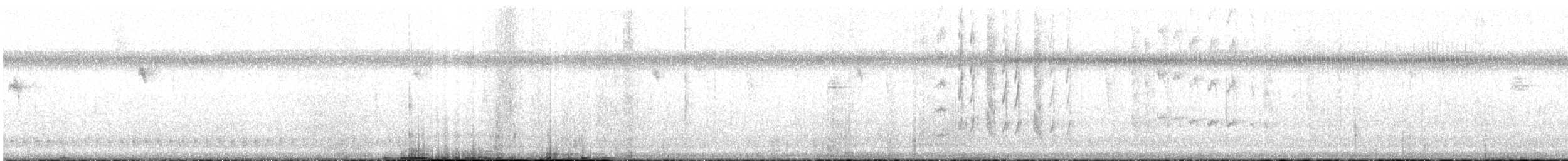 Inagua Woodstar - ML622426867