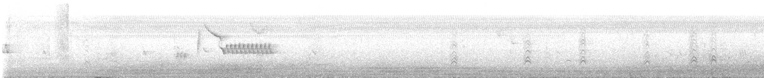 Bewick's Wren - ML622429593