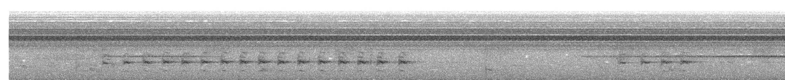 Rwenzori Apalis - ML622431534