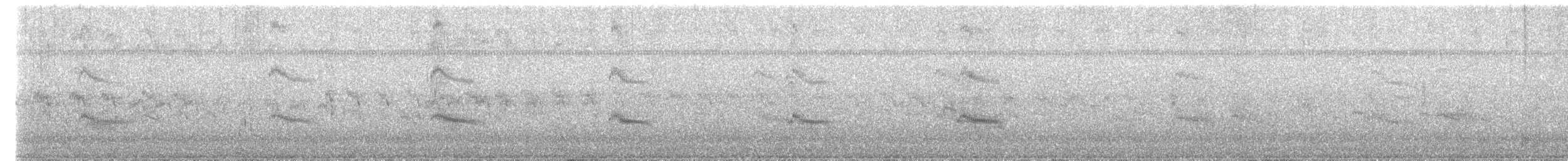 Forster's Tern - ML622434507