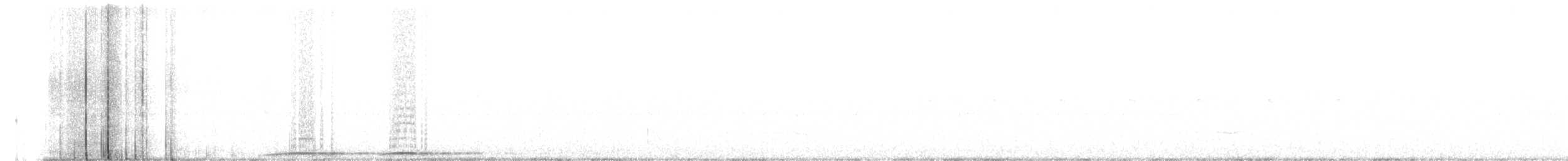 sovka statná - ML622441245