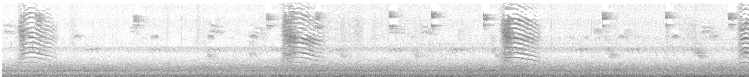 Gray Catbird - ML622441572