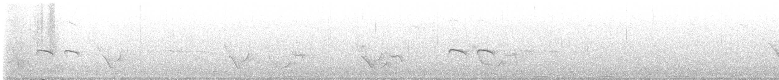 Tumbesschnäppertyrann - ML622447195