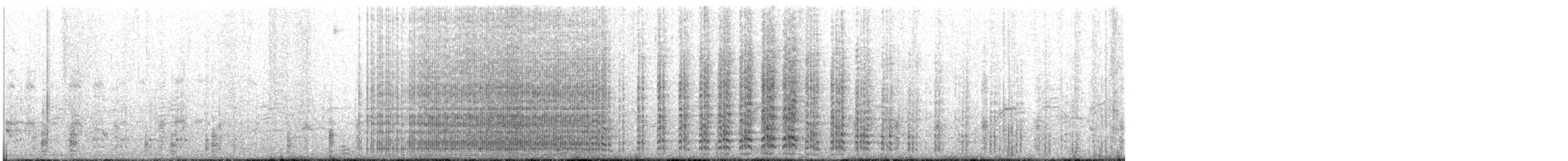 rødfotsule (websteri) - ML622449331