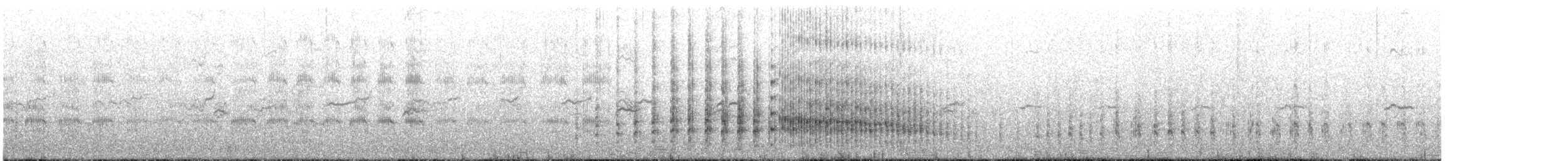 Rotschnabel-Tropikvogel - ML622449607