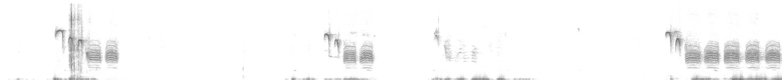 amerikameis - ML622459776