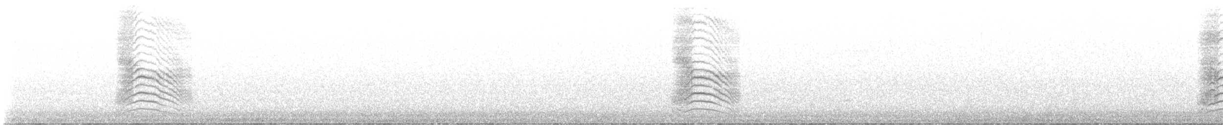 Gray Catbird - ML622462164