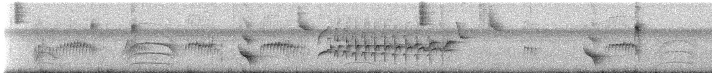 Grauscheitel-Tachurityrann - ML622464884