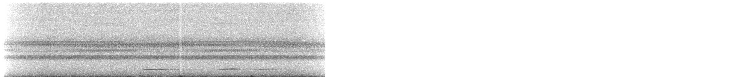 シロハラシギダチョウ - ML622465213