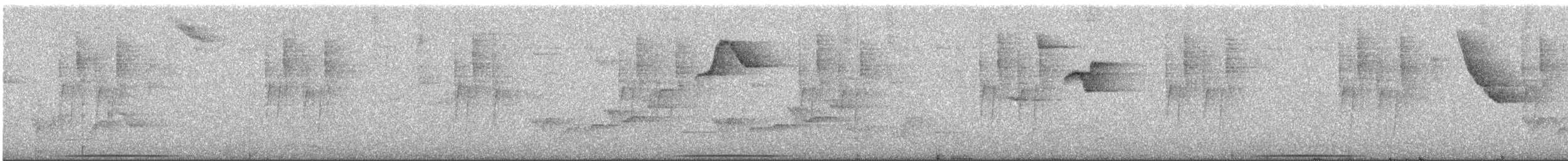 オオウズラバト - ML622478703