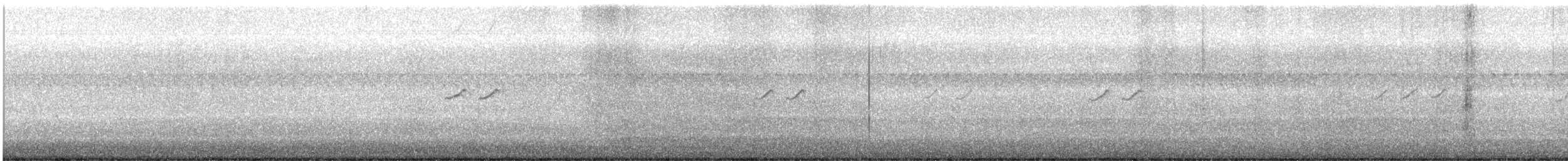 Einsiedelwasserläufer - ML622481663