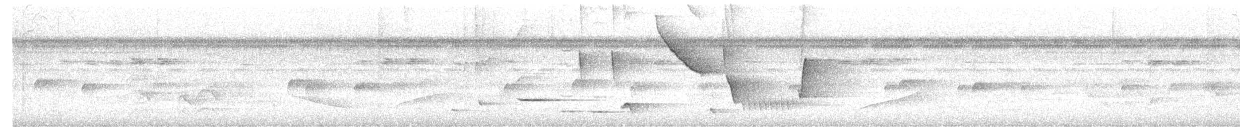 Troglodyte du Sinaloa - ML622485233