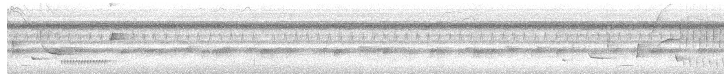 Troglodyte du Sinaloa - ML622485247