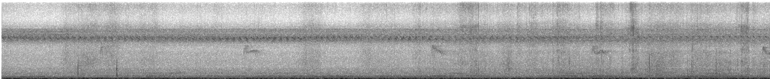 Birkenschnäppertyrann - ML622486163