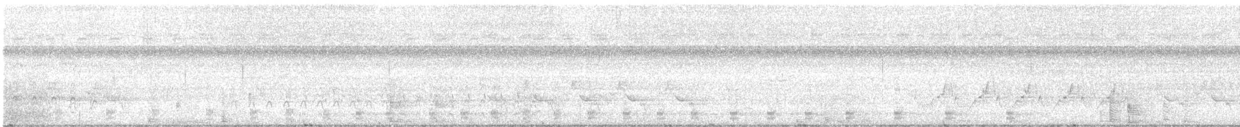 ダイサギ - ML622494277