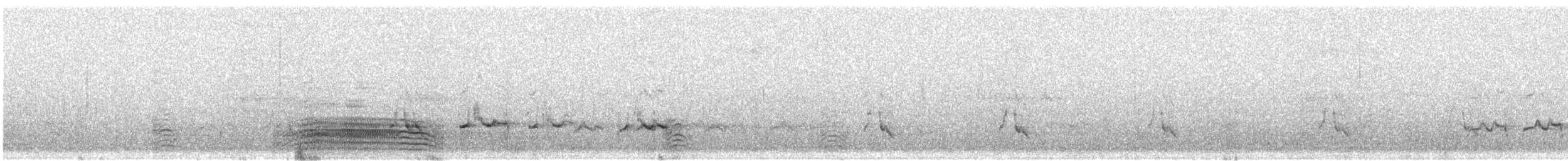Common Murre - ML622498001