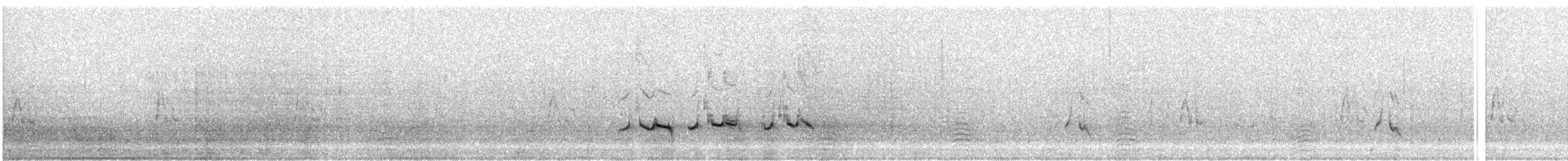 Common Murre - ML622498010