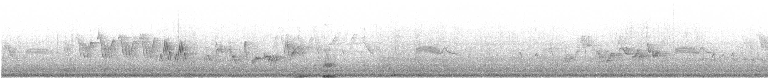 MacGillivray's Warbler - ML622506706