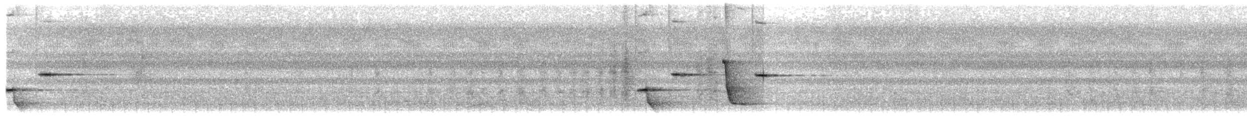 White-bellied Thicket-Fantail - ML622507323