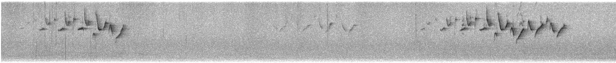 Black-and-white Warbler - ML622507820