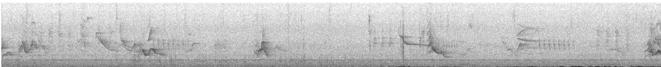 Plumbeous Vireo - ML622510184