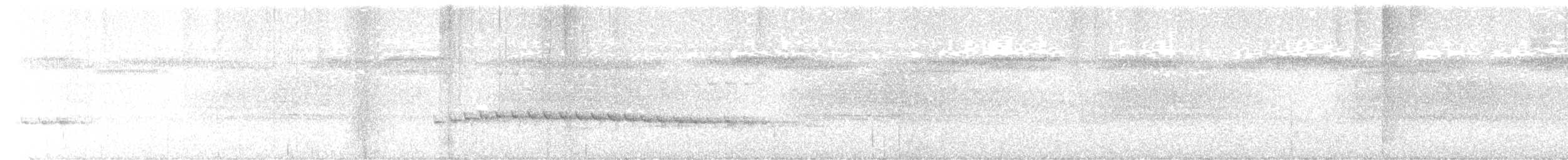 Long-billed Gnatwren - ML622514734