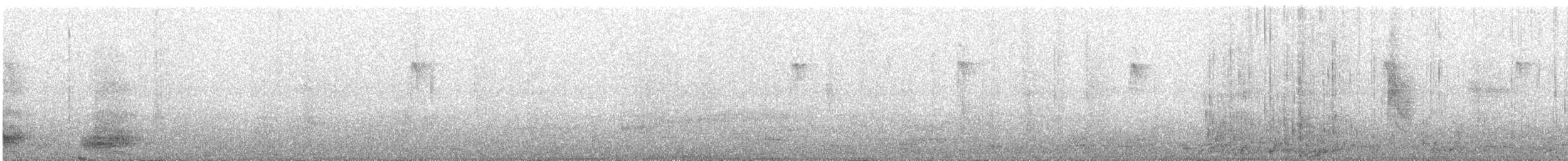 Pied Crow - ML622517064