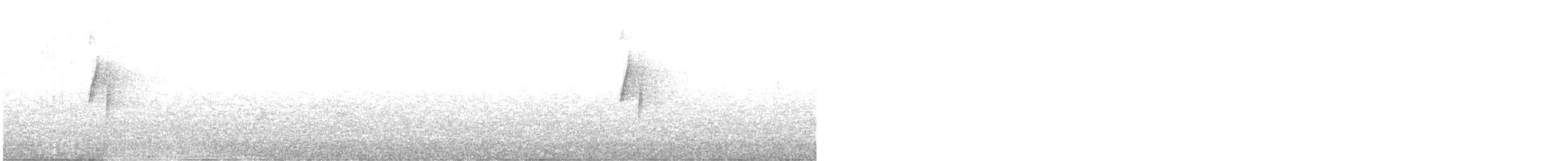 Hammond's Flycatcher - ML622518711