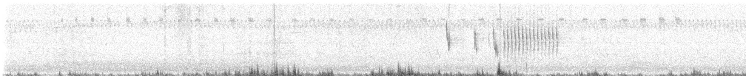 Sedge Wren - ML622520868