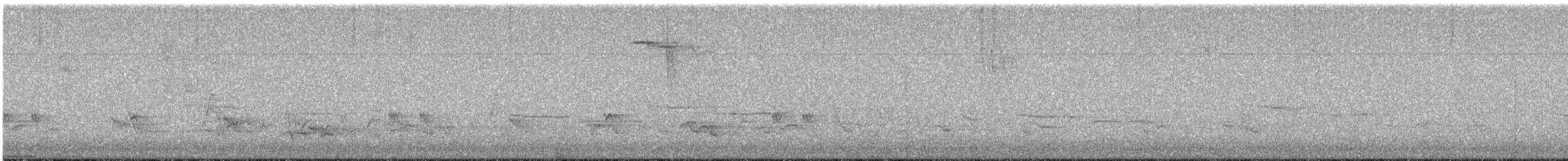 American Robin - ML622526577