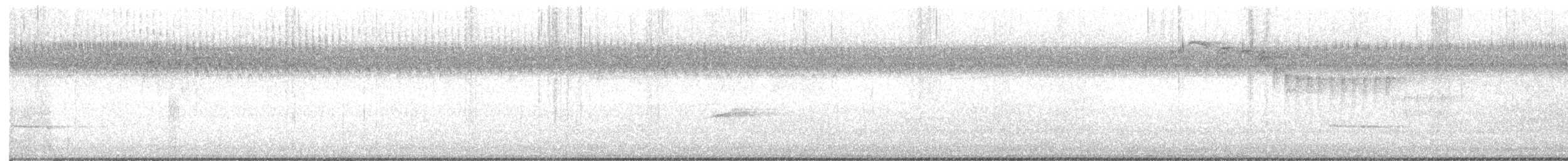 hetteparula - ML622529366