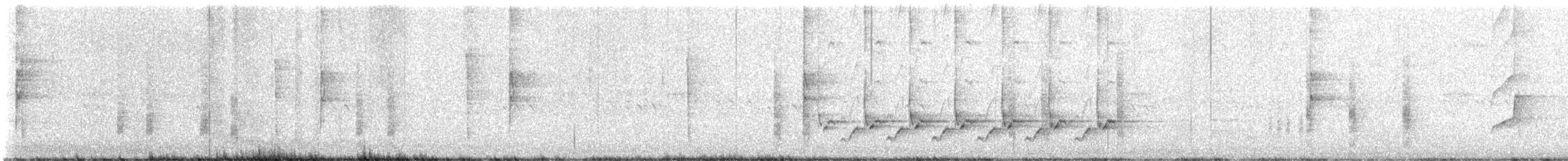 Carolina Wren - ML622530222