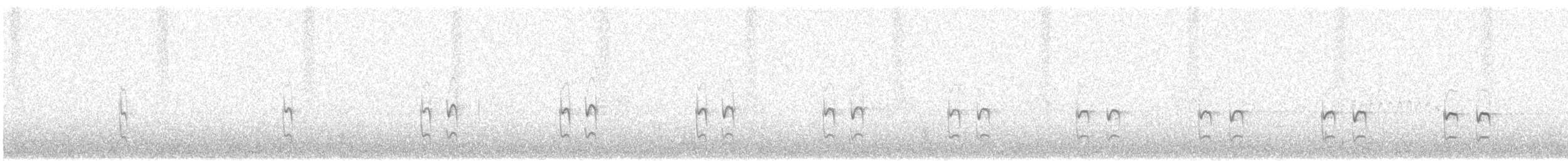 Tschudi's Tapaculo - ML622530795