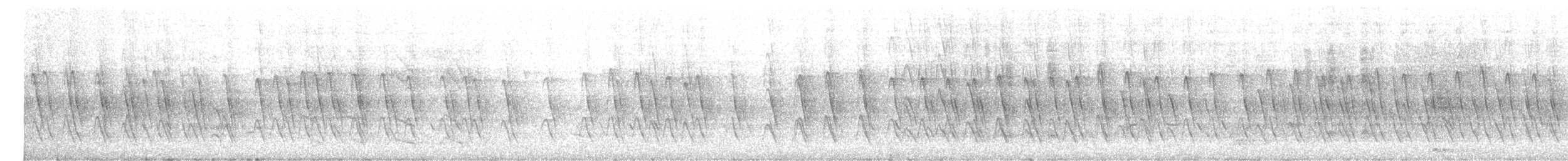 Gelbscheitel-Honigfresser - ML622536401