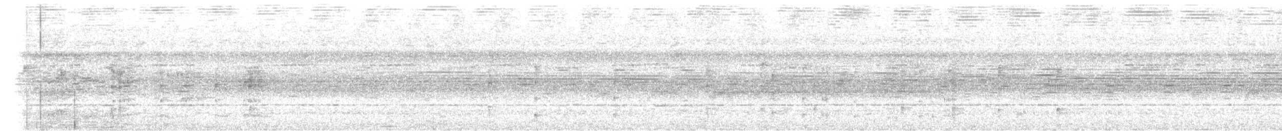 Black-and-white Tody-Flycatcher - ML622540300